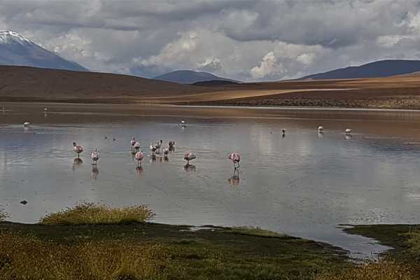 SALAR DE UYUNI (3 DAYS-2 NIGHTS)