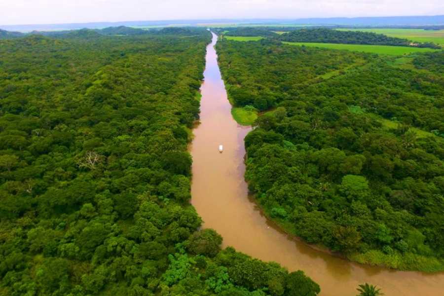 Palo Verde Wildlife River Boat Cruise Tour Guanacaste, bringing Costa