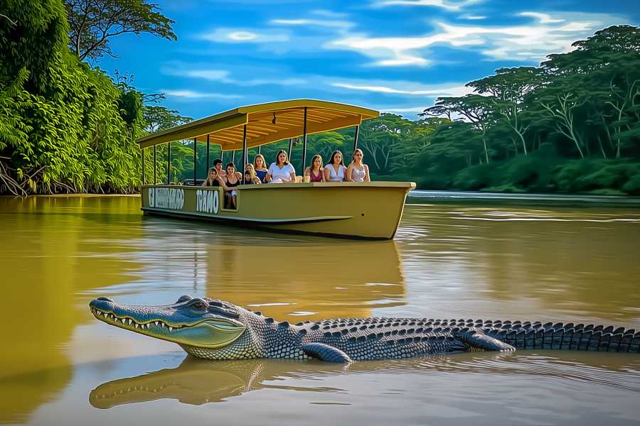 Tour Guanacaste Palo Verde Wildlife River Boat Cruise