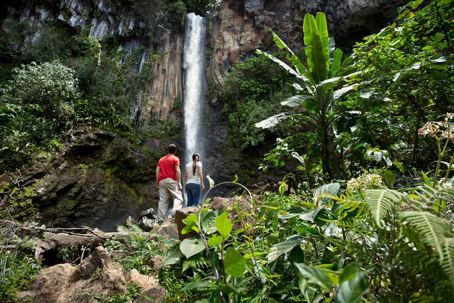 Tour Guanacaste Buena Vista Mega Combo Day Pass