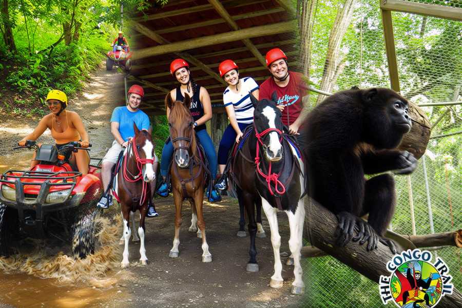 Congo Canopy ATV Horseback Monkey Combo