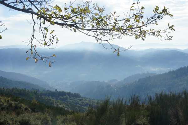 Ger&ecirc;s Holidays 3D/2N Pedestrian Escape