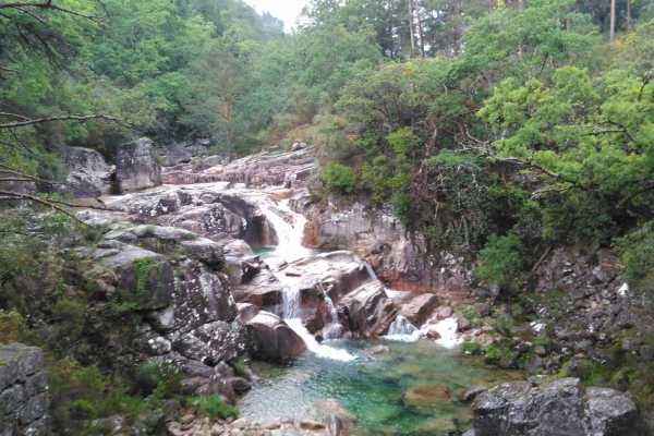 Ger&ecirc;s Holidays 7D/6N Pet Friendly Holidays