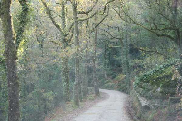 Ger&ecirc;s Holidays 3D/2N Pet Friendly Escape