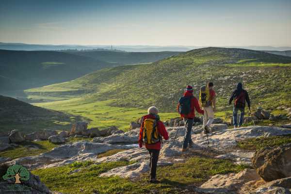 17 November - 23 November 2018, Tuqua to Beit Mirsim, Autumn Thru-Hike 2018