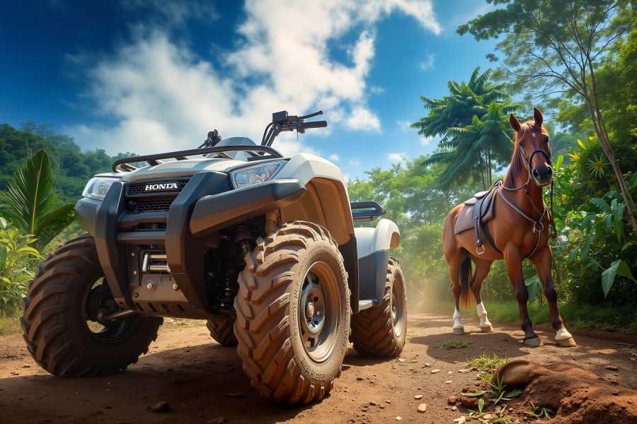 Congo Canopy ATV Horseback Combo