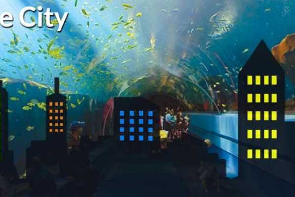 Key To The City - Half Day Tour With Custom Options