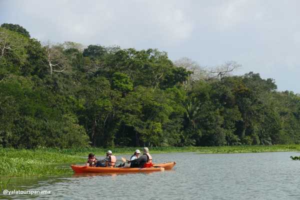 PCC139 Kayaking on Chagres River in Soberania National Park