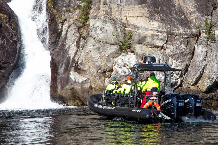 Hardanger Fjordsafari AS RIB tur 3+ timar