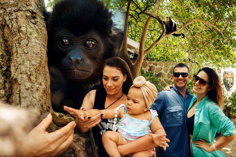 Tour Guanacaste Monkey and Wildlife Tour