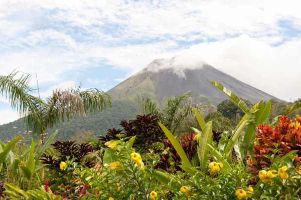 Arenal Hanging Bridges Tour