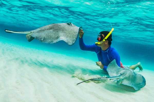 Pro Sport Fishing Excursion