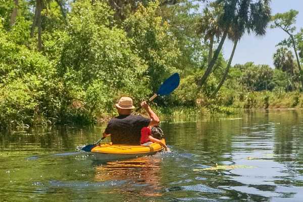 Tamarindo Estuary Kayaking Tour