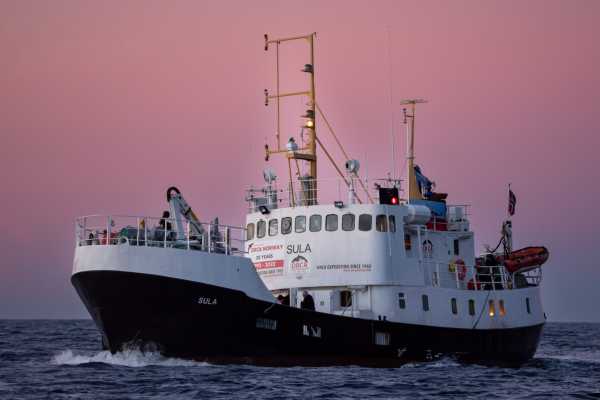 ORCA EXPEDITION TRIP,  MS SULA