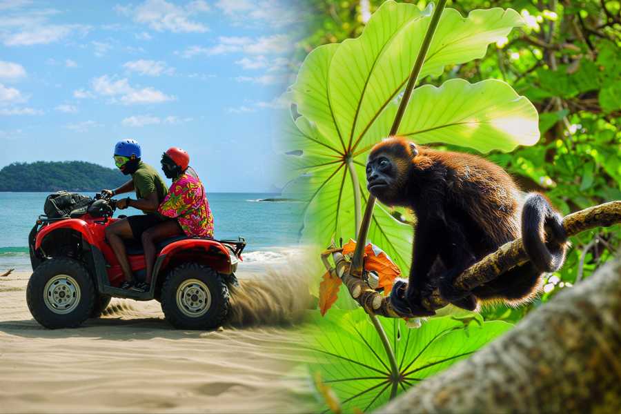 Congo Canopy ATV Monkey Wild Life Park Combo