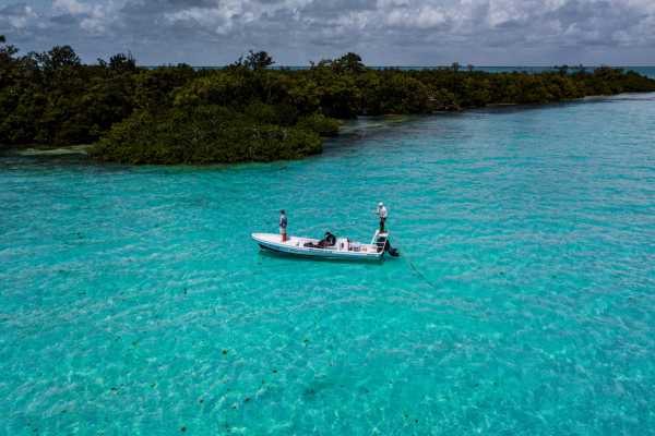 Flats Fishing