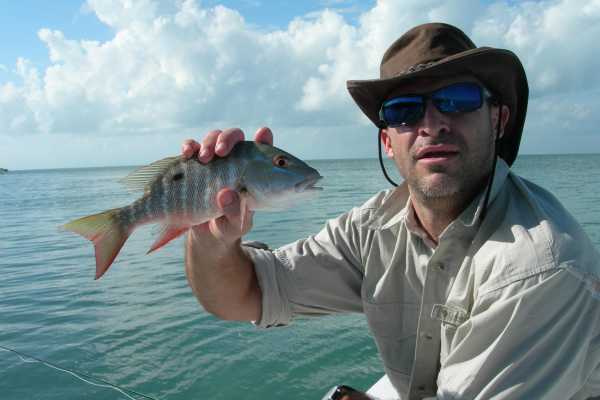 Reef Fishing