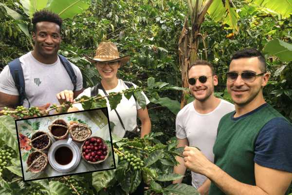 Birds & Beans Traditional Coffee Tour