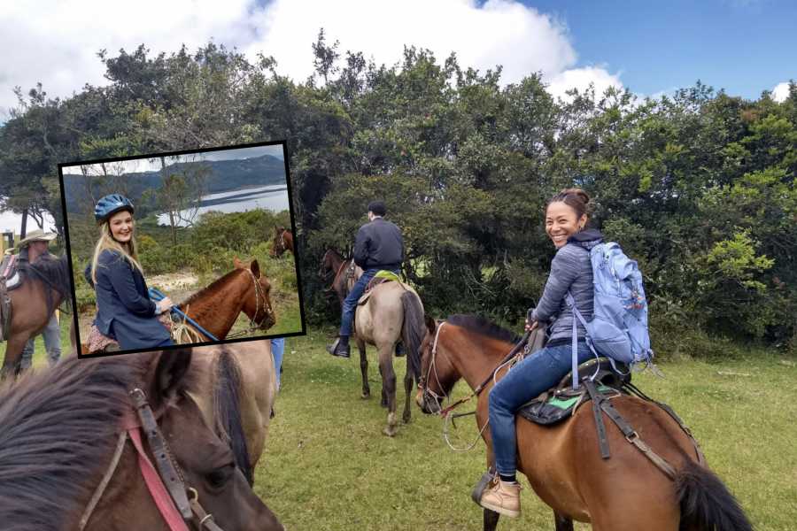 Andes Ecotours Andes Mountains Horseback Riding