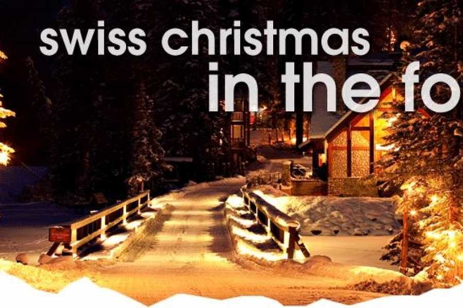 christmas in the forest bus2alps christmas in the forest