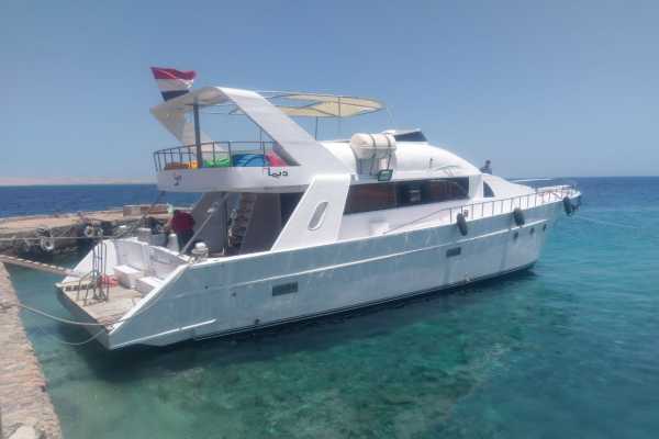 Private Snorkeling Boat Trip to Dolphin house from Hurghada