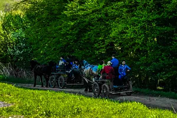 The Saxon trail with an Equestrian Adventure