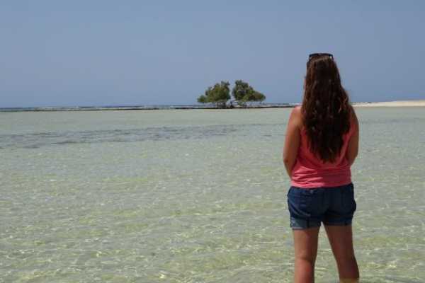 Private tour to Sharm El Luli and wadi el Qulaan Tours from Marsa alam
