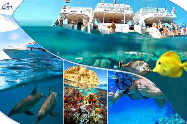 Ras Mohammed Day  Snorkeling Tour by Boat From Sharm El Sheikh