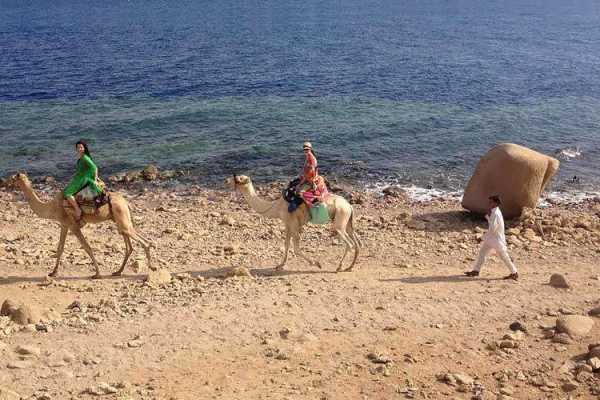 Snorkel at Blue Hole, white Canyon Safari & Camel Safari from Sharm el Sheikh