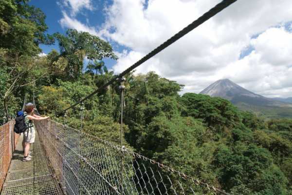 Heliconias Hanging Bridges and Canopy Hike