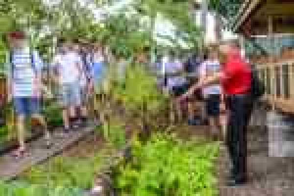 Essence of St. Lucia ( A Heritage & Cultural Experience)