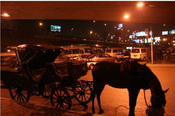 EMO TOURS EGYPT 4-Hour Walking and Horse Carriage City Tour of Cairo