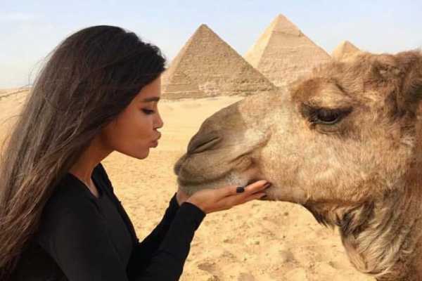 EMO TOURS EGYPT Half day Private tour to Giza pyramids Sphinx