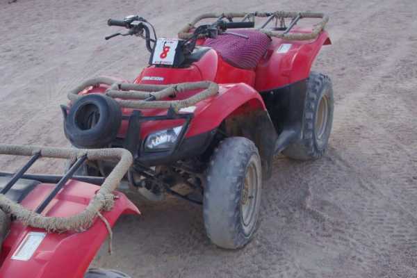 EMO TOURS EGYPT Half day tour to Giza pyramids and 1 Hour quad bike at the desert