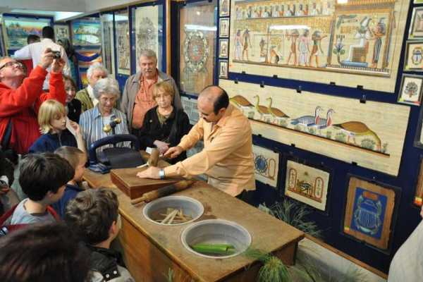 EMO TOURS EGYPT Papyrus Manufacturing Tour and Papyrus Making Demonstration
