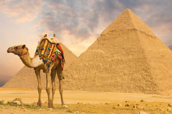EMO TOURS EGYPT Giza Pyramids Memphis City and Sakkara Pyramid Day tour