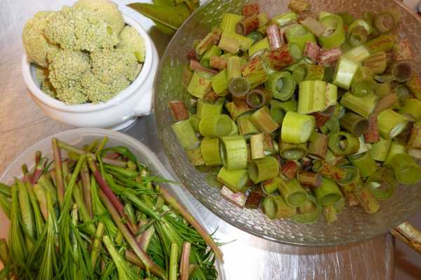 Explorative AS Wildkräuter im HEGGLI URTEHAGE