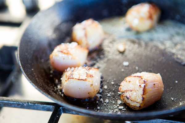 Explorative AS Einzigartige Zeitreise in die Geschichte der Aquakultur