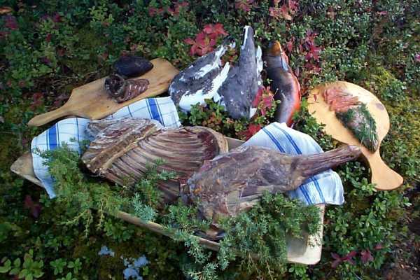 Explorative AS Wild Food Week, Sommer in Lierne