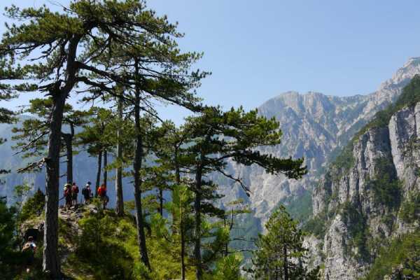 Green Visions Diva Grabovica & King's Old Hunting Trail