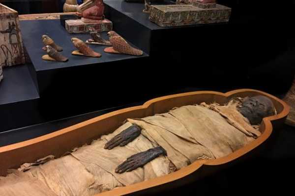【未開封】hide private collection in MUSEUM a 3000 year old egyptian mummy head in a private gettysburg