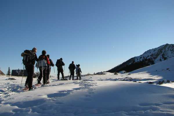 Green Visions Olympic Mountain Snowshoe Experience