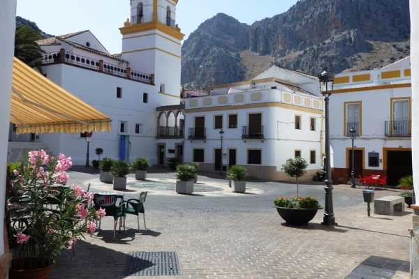 MARVELLOUS MONTEJAQUE