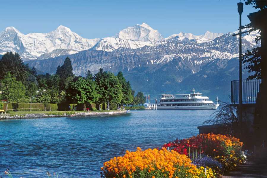 Brienz Sailing Tours Group Day Cruise A (departing from Thun)
