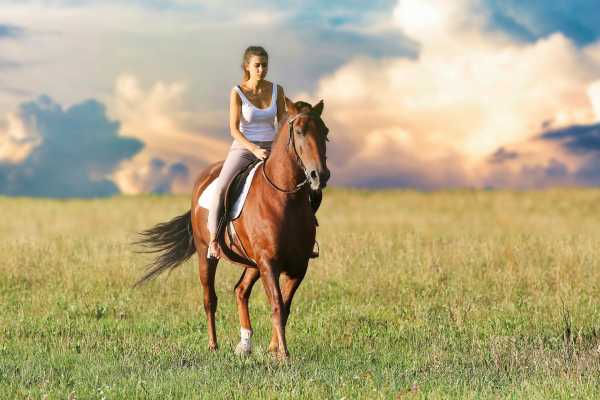 Paseo a caballo