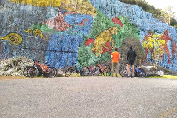 Cubyke Travel One Day in Vi&ntilde;ales - PRIVATE
