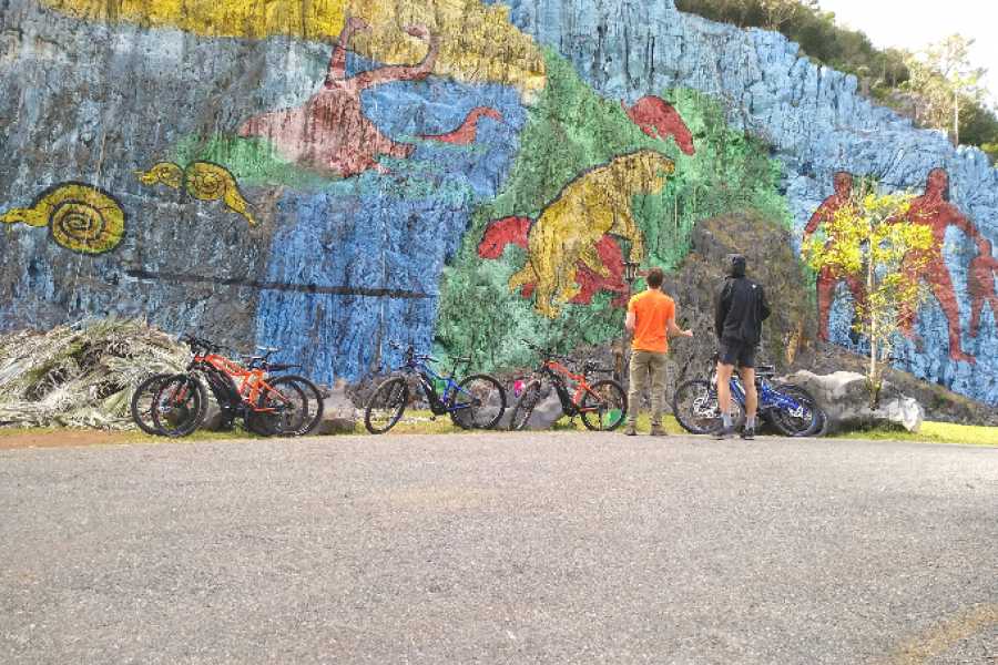 Cubyke Travel One Day in Vi&ntilde;ales - PRIVATE