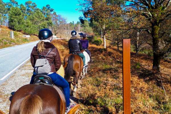 Passeio a Cavalo de 1H