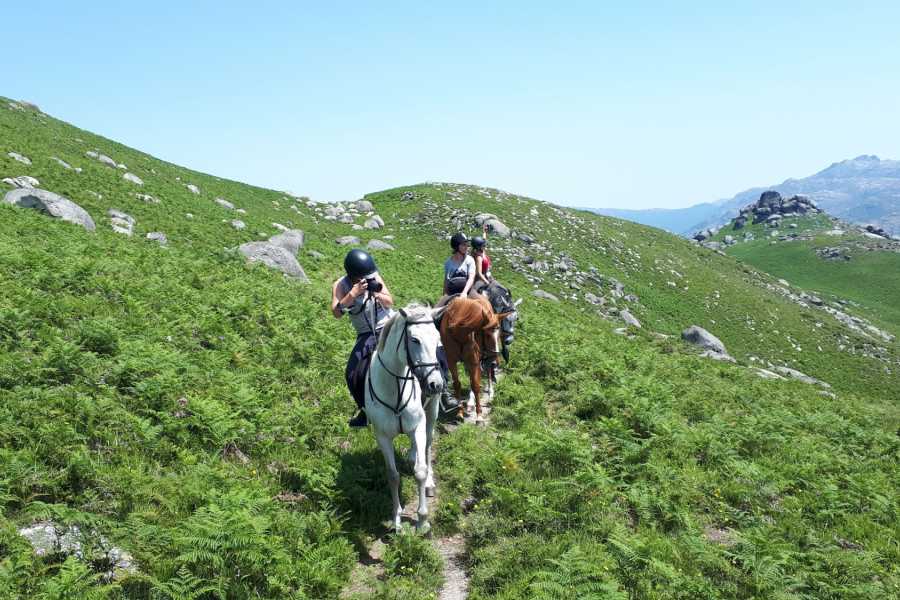 Ger&ecirc;s Equidesafios Passeio a Cavalo de 1H