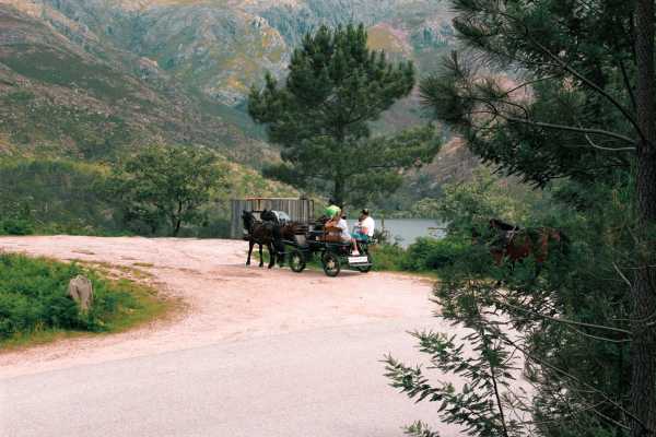 Passeio de Charrete